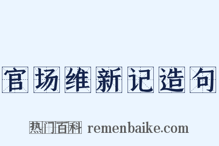 官场维新记造句是什么意思的图片